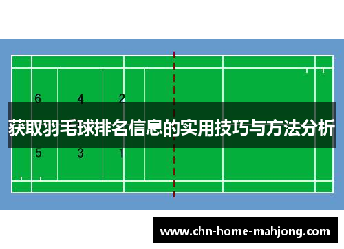 获取羽毛球排名信息的实用技巧与方法分析 获取羽毛球排名信息的实用技巧与方法分析