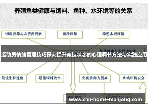 运动员情绪管理技巧探究提升竞技状态的心理调节方法与实践应用