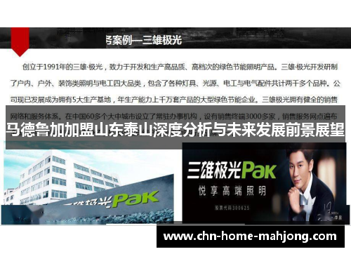 马德鲁加加盟山东泰山深度分析与未来发展前景展望