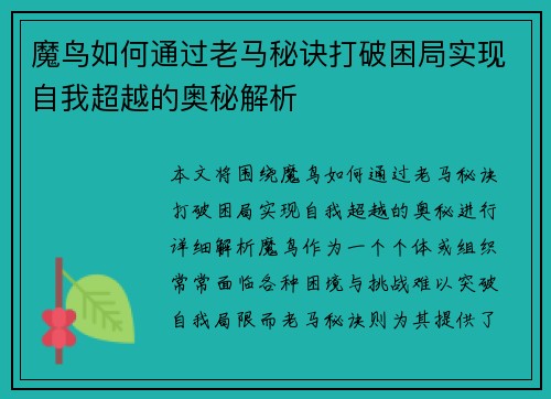 魔鸟如何通过老马秘诀打破困局实现自我超越的奥秘解析